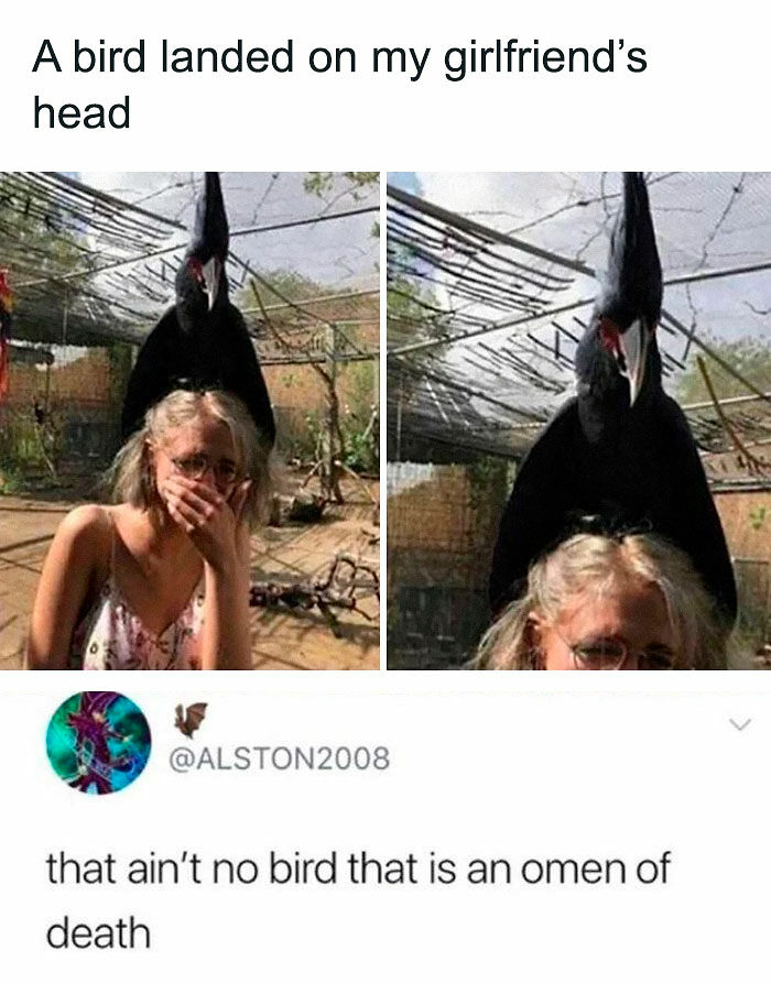 80 Of The Funniest Memes To Make Your Day Better