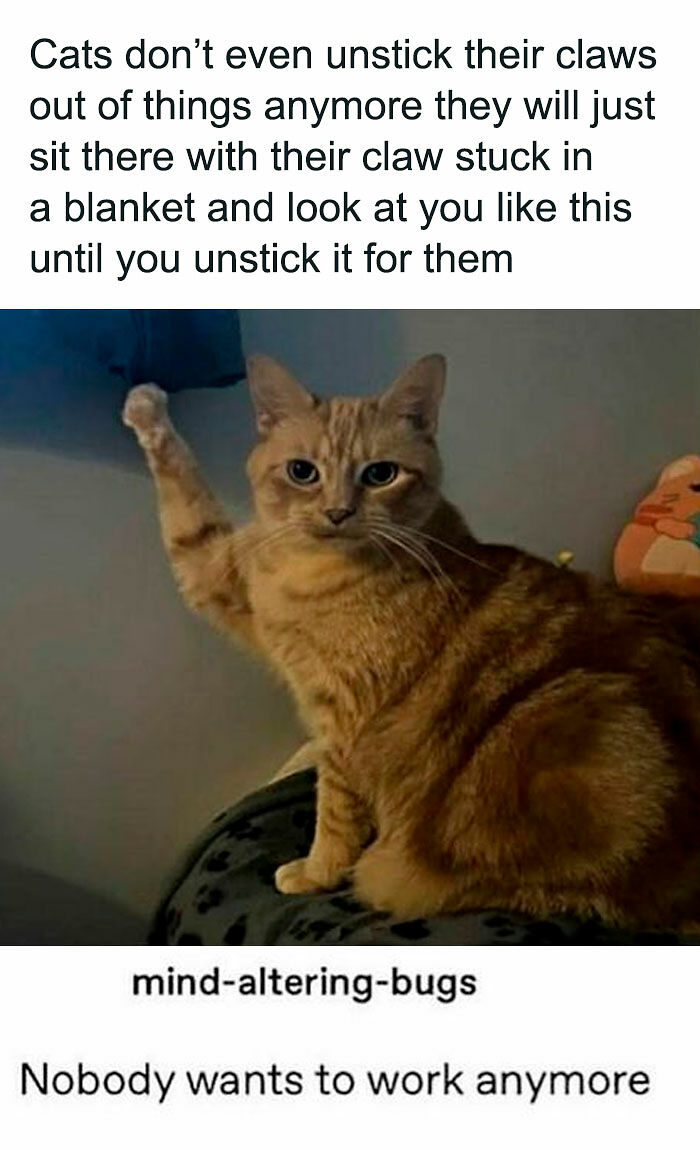 80 Of The Funniest Memes To Make Your Day Better