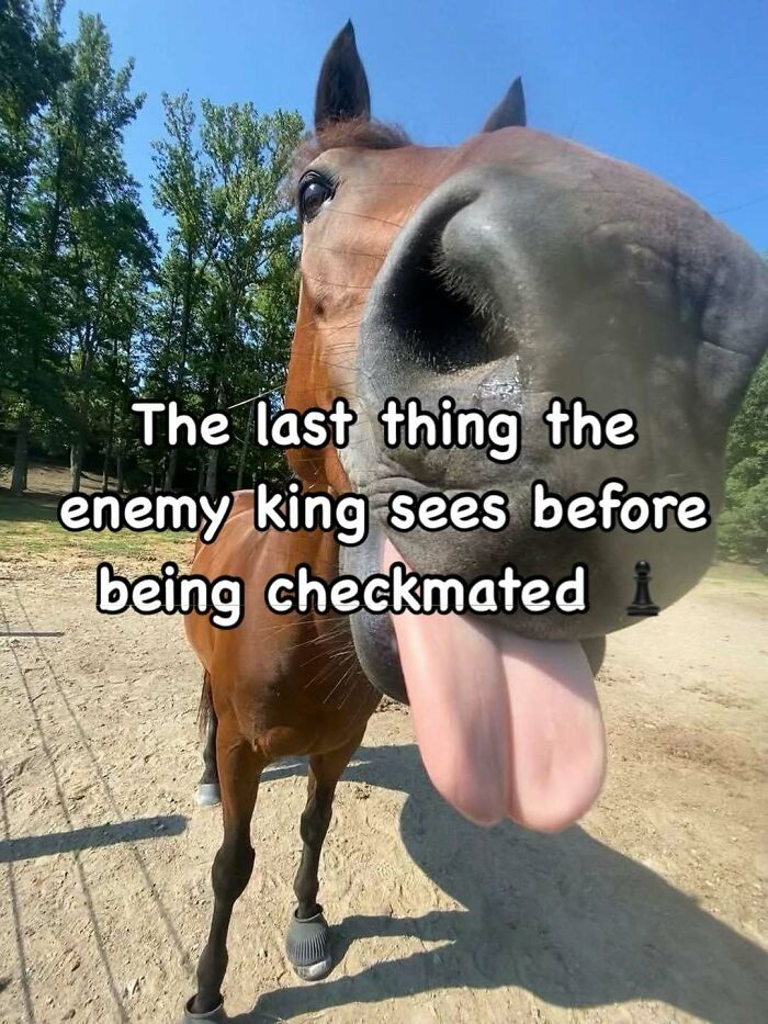 80 Of The Funniest Memes To Make Your Day Better