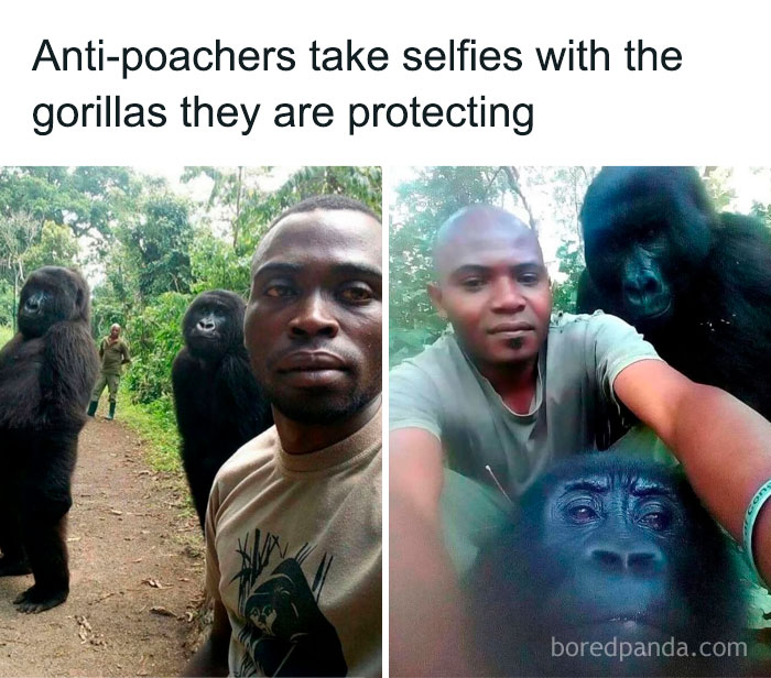 The “Epicfunnypage” IG Account Is Dedicated To Hilarious Memes, Here Are The 72 Best Ones (New Pics)