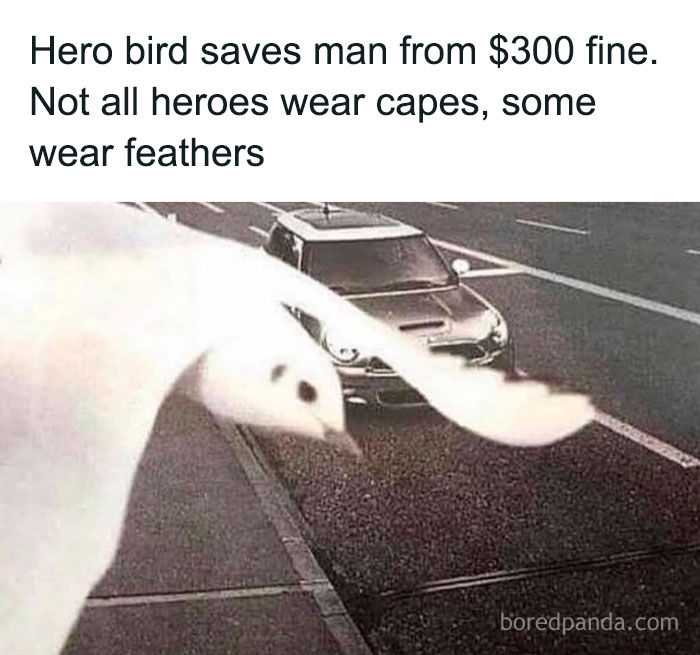 The “Epicfunnypage” IG Account Is Dedicated To Hilarious Memes, Here Are The 72 Best Ones (New Pics)