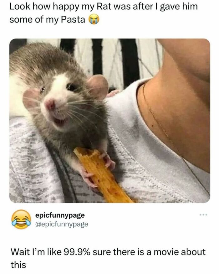 The “Epicfunnypage” IG Account Is Dedicated To Hilarious Memes, Here Are The 72 Best Ones (New Pics)