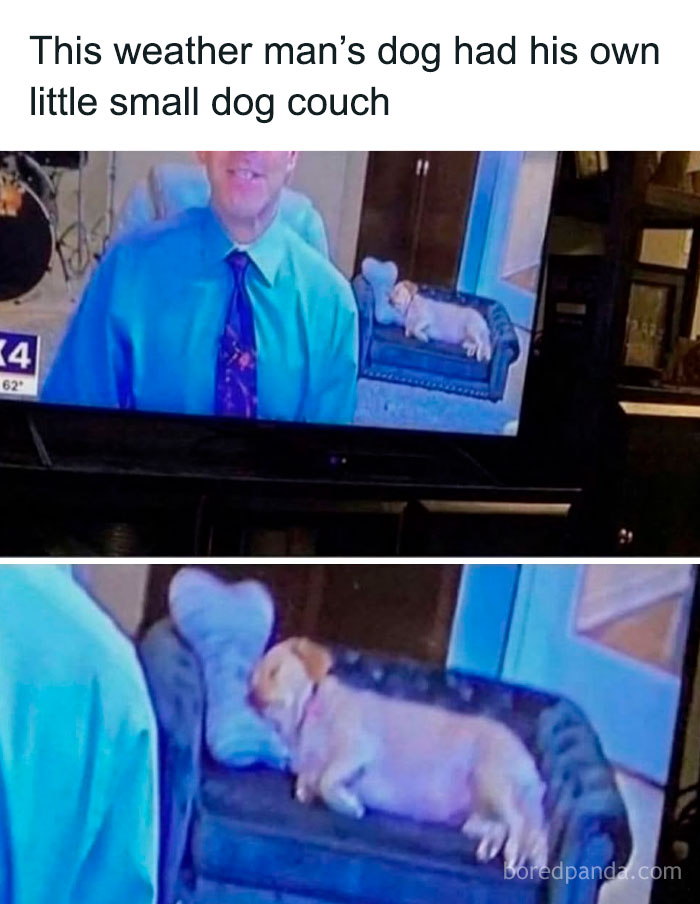 The “Epicfunnypage” IG Account Is Dedicated To Hilarious Memes, Here Are The 72 Best Ones (New Pics)
