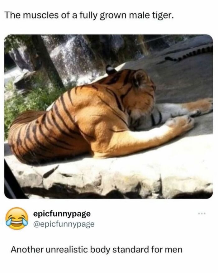 The “Epicfunnypage” IG Account Is Dedicated To Hilarious Memes, Here Are The 72 Best Ones (New Pics)