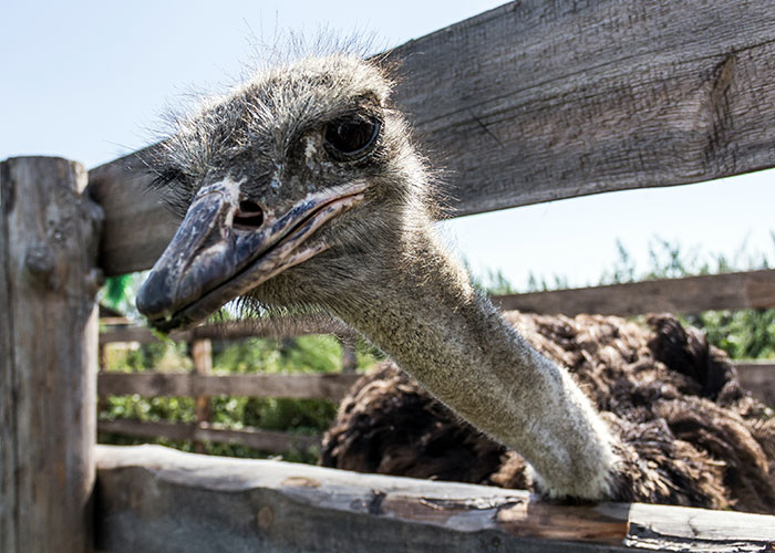 80 Times People Met Pure Evil And Lived To Tell The Tale