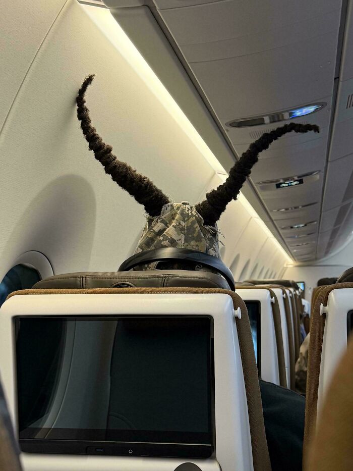 94 Of The Funniest Examples Of Awful Taste But Great Execution (New Pics)
