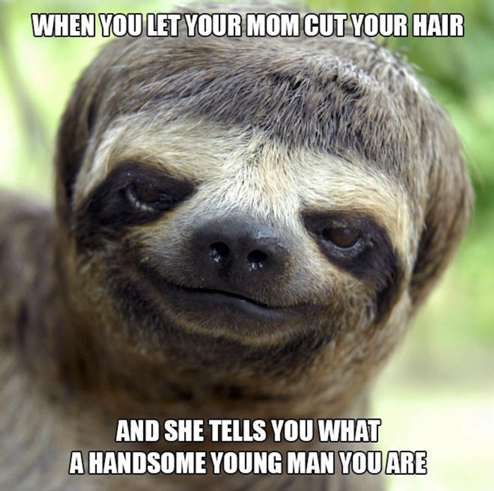 62 Funny And Relatable Animal Memes To Instantly Improve Your Mood