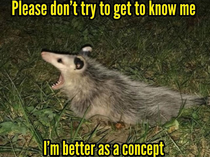62 Funny And Relatable Animal Memes To Instantly Improve Your Mood