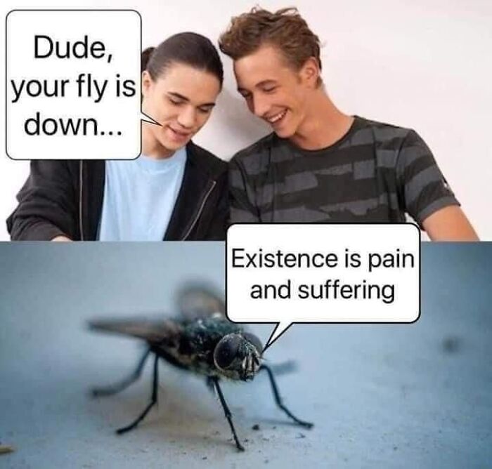 62 Funny And Relatable Animal Memes To Instantly Improve Your Mood