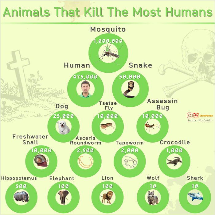 85 Fun And Informative Charts About Parts Of The World You Might Not Have Seen Yet (New Pics)
