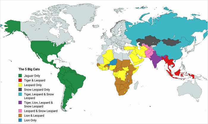 85 Fun And Informative Charts About Parts Of The World You Might Not Have Seen Yet (New Pics)