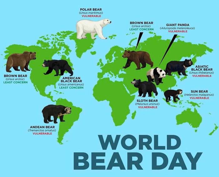 85 Fun And Informative Charts About Parts Of The World You Might Not Have Seen Yet (New Pics)