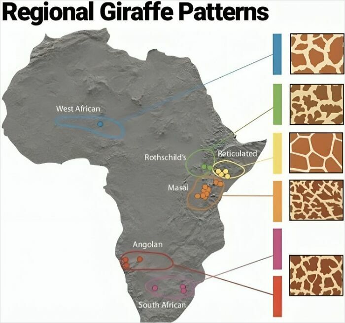 85 Fun And Informative Charts About Parts Of The World You Might Not Have Seen Yet (New Pics)