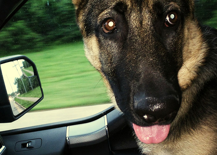 82 Truck Drivers Share Terrifying Road Encounters They Still Have Nightmares About