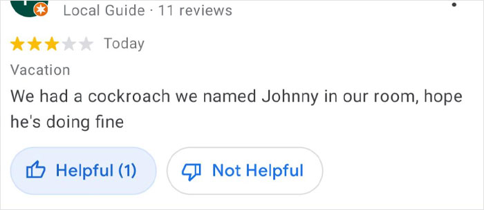 105 Times People Showed Their Immaculate Sense Of Humor In Product And Service Reviews