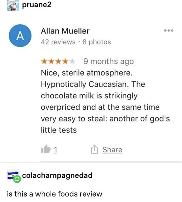 105 Times People Showed Their Immaculate Sense Of Humor In Product And Service Reviews