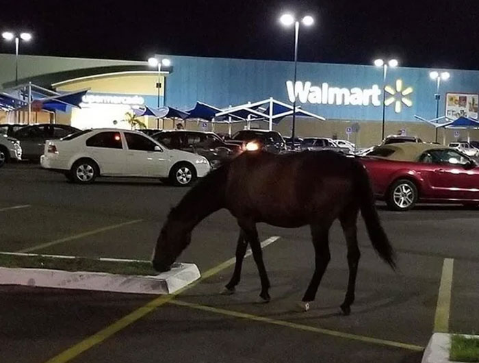 75 Wild Times Walmart Employees Went To Work And Left Thinking “I Don’t Get Paid Enough For This”
