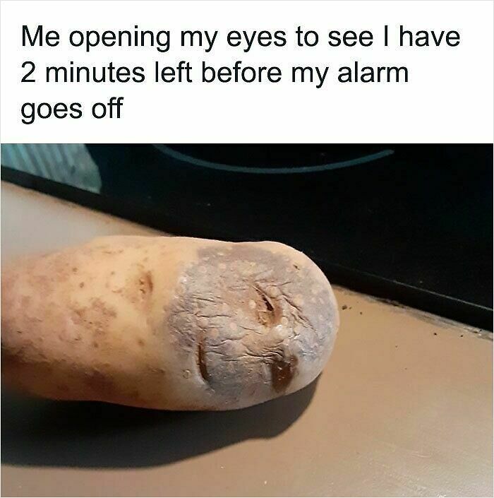 100 Hilariously Relatable Memes That Might Make You Feel Very Called Out
