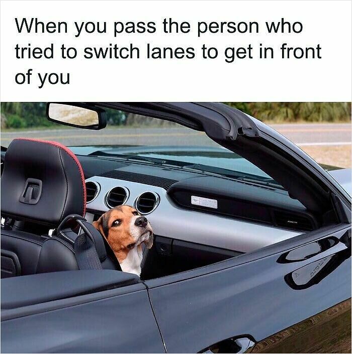 100 Hilariously Relatable Memes That Might Make You Feel Very Called Out