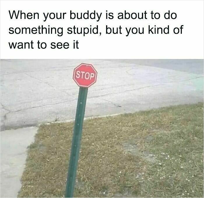 100 Hilariously Relatable Memes That Might Make You Feel Very Called Out
