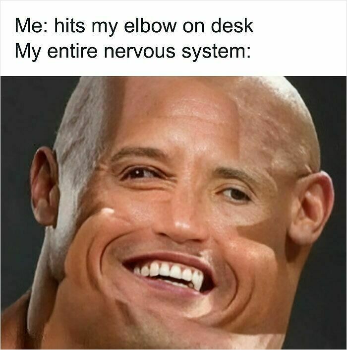 100 Hilariously Relatable Memes That Might Make You Feel Very Called Out