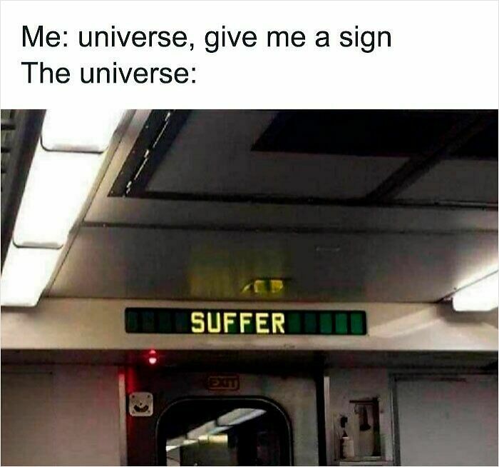 100 Hilariously Relatable Memes That Might Make You Feel Very Called Out
