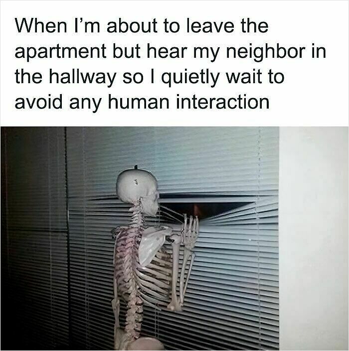 100 Hilariously Relatable Memes That Might Make You Feel Very Called Out