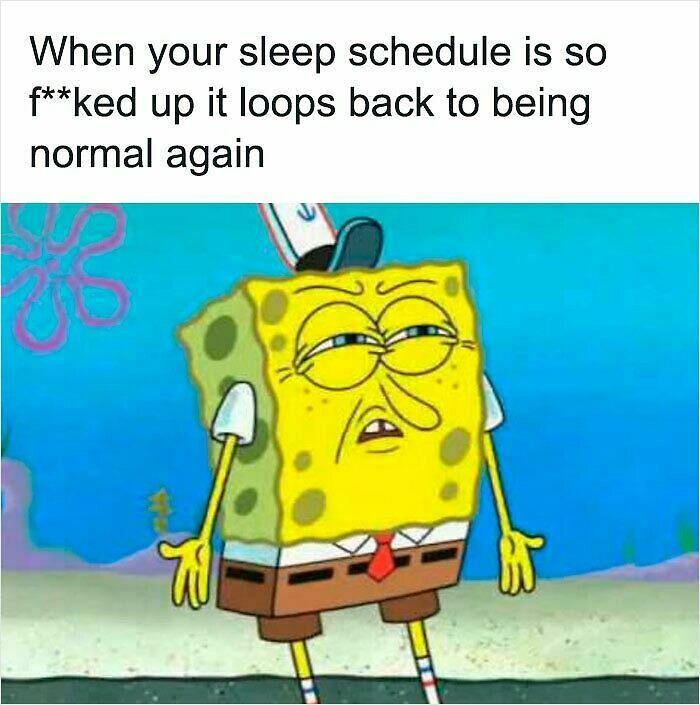 100 Hilariously Relatable Memes That Might Make You Feel Very Called Out