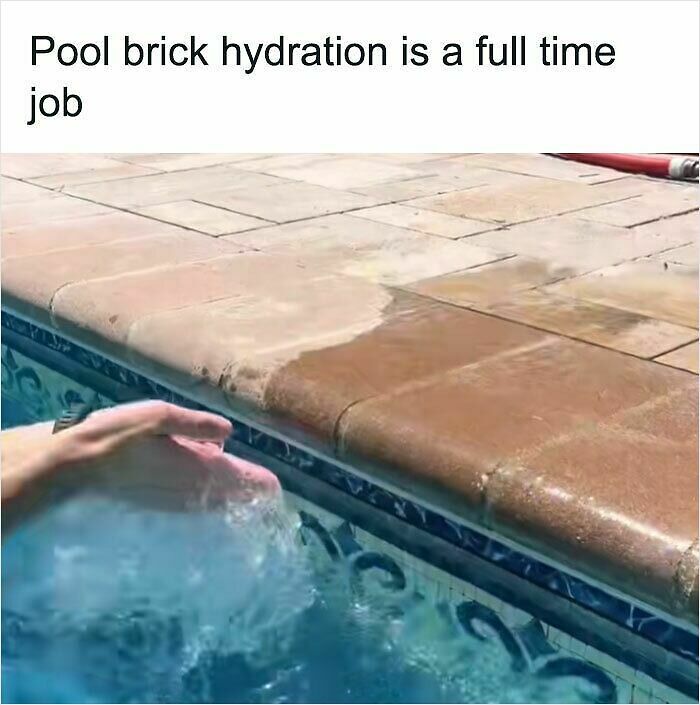 100 Hilariously Relatable Memes That Might Make You Feel Very Called Out