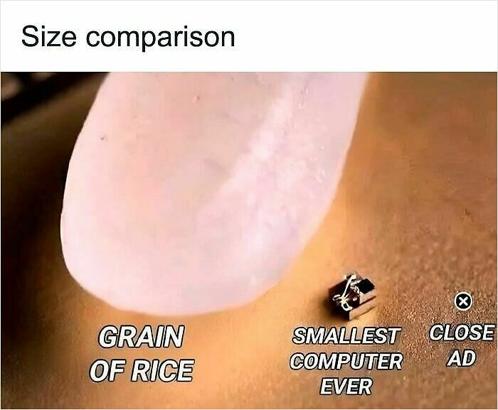 100 Hilariously Relatable Memes That Might Make You Feel Very Called Out