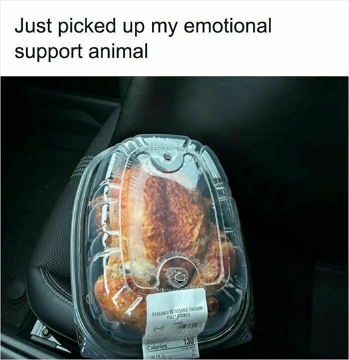 100 Hilariously Relatable Memes That Might Make You Feel Very Called Out