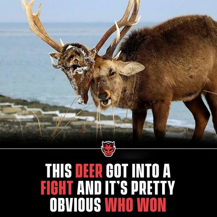 90 Random Creepy Facts And Pictures To Deprive Somebody Of Sleep