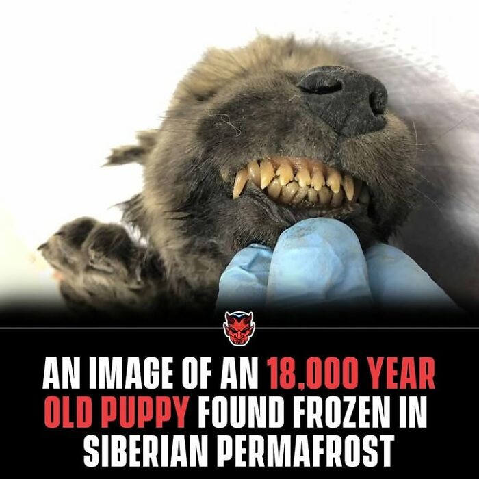 90 Random Creepy Facts And Pictures To Deprive Somebody Of Sleep
