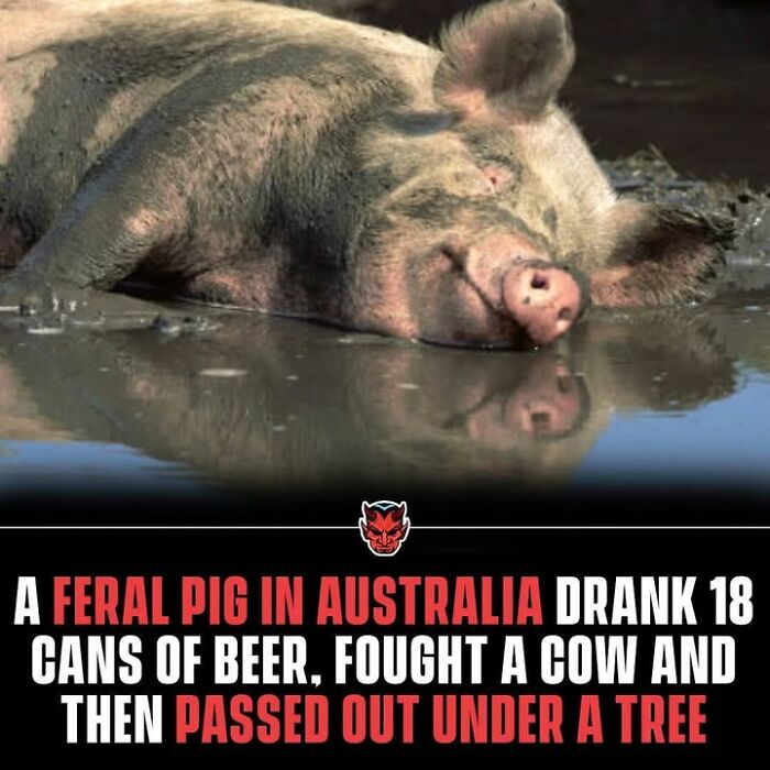 90 Random Creepy Facts And Pictures To Deprive Somebody Of Sleep
