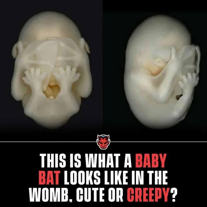 90 Random Creepy Facts And Pictures To Deprive Somebody Of Sleep