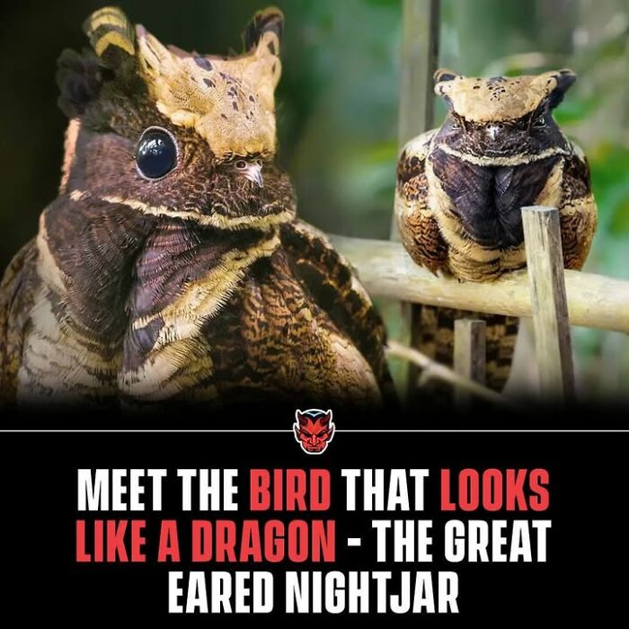 90 Random Creepy Facts And Pictures To Deprive Somebody Of Sleep