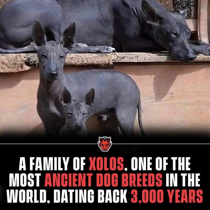 90 Random Creepy Facts And Pictures To Deprive Somebody Of Sleep