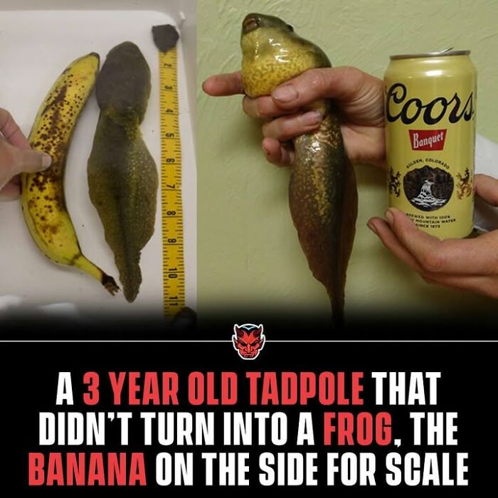90 Random Creepy Facts And Pictures To Deprive Somebody Of Sleep