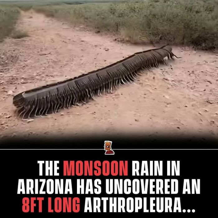 90 Random Creepy Facts And Pictures To Deprive Somebody Of Sleep