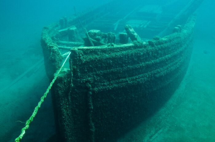 29 Tiny Human Mistakes That Changed The Course Of History Forever