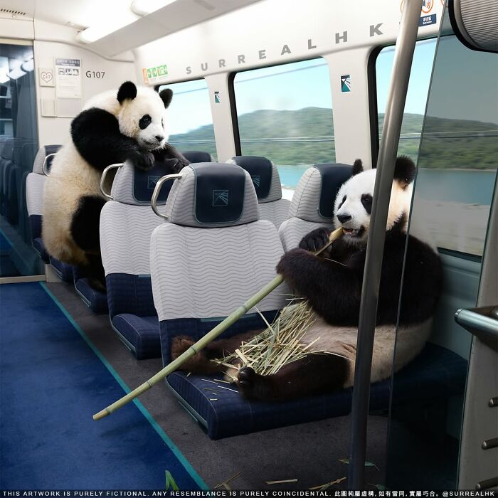23 Surreal Panda Pics That Turn Everyday Hong Kong Into A Giant Playground