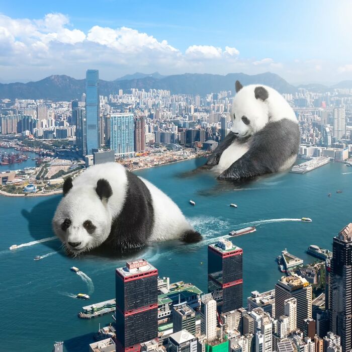 23 Surreal Panda Pics That Turn Everyday Hong Kong Into A Giant Playground