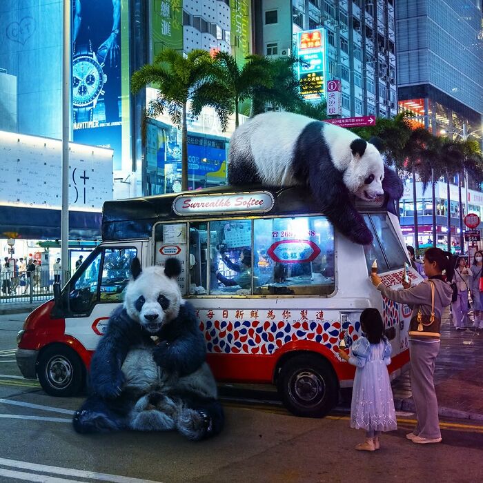 23 Surreal Panda Pics That Turn Everyday Hong Kong Into A Giant Playground