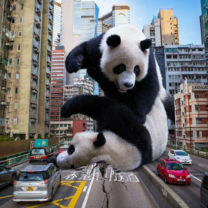 23 Surreal Panda Pics That Turn Everyday Hong Kong Into A Giant Playground