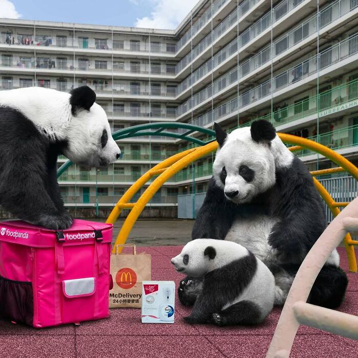 23 Surreal Panda Pics That Turn Everyday Hong Kong Into A Giant Playground