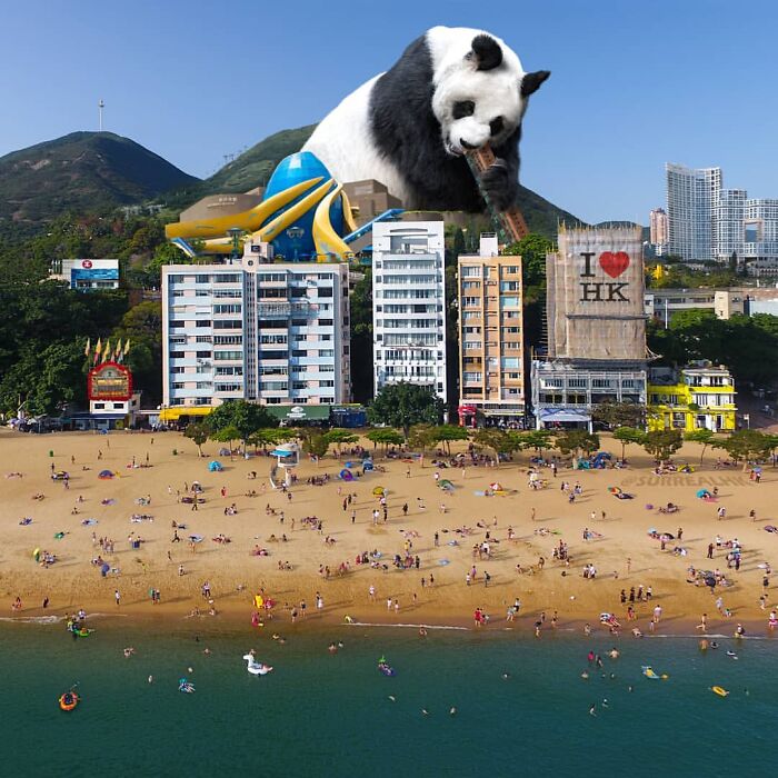23 Surreal Panda Pics That Turn Everyday Hong Kong Into A Giant Playground