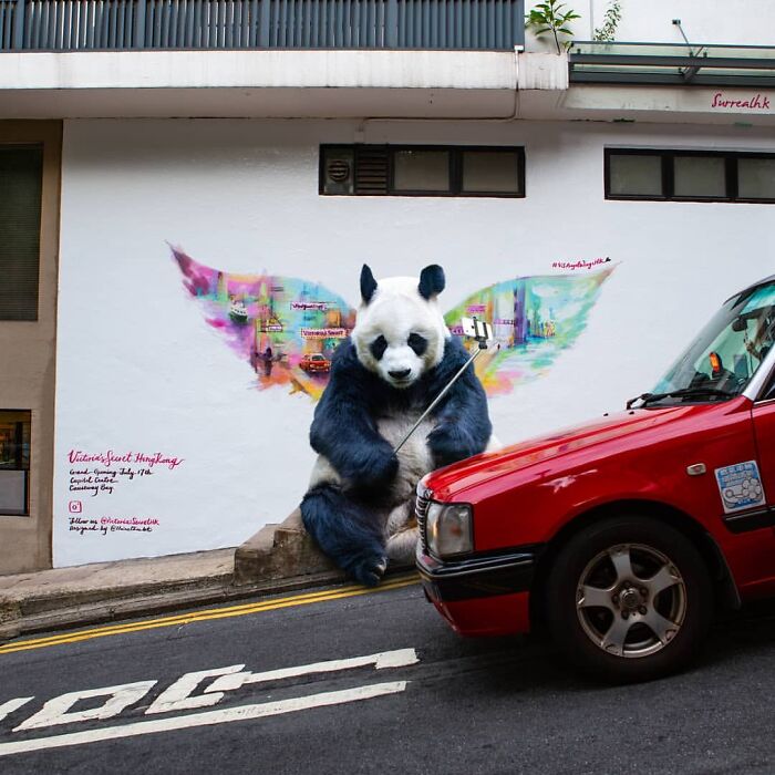 23 Surreal Panda Pics That Turn Everyday Hong Kong Into A Giant Playground