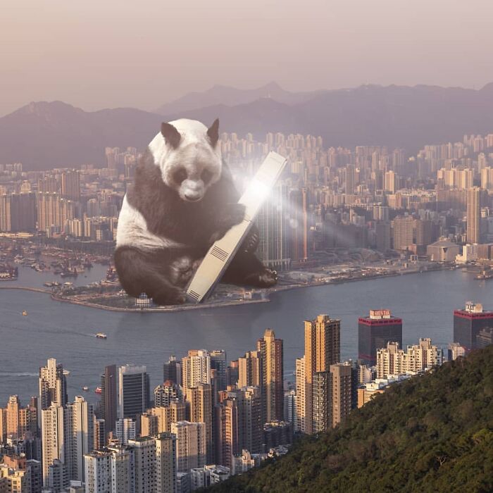 23 Surreal Panda Pics That Turn Everyday Hong Kong Into A Giant Playground