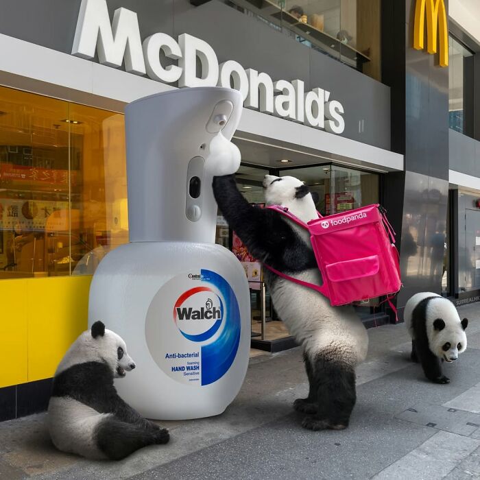 23 Surreal Panda Pics That Turn Everyday Hong Kong Into A Giant Playground