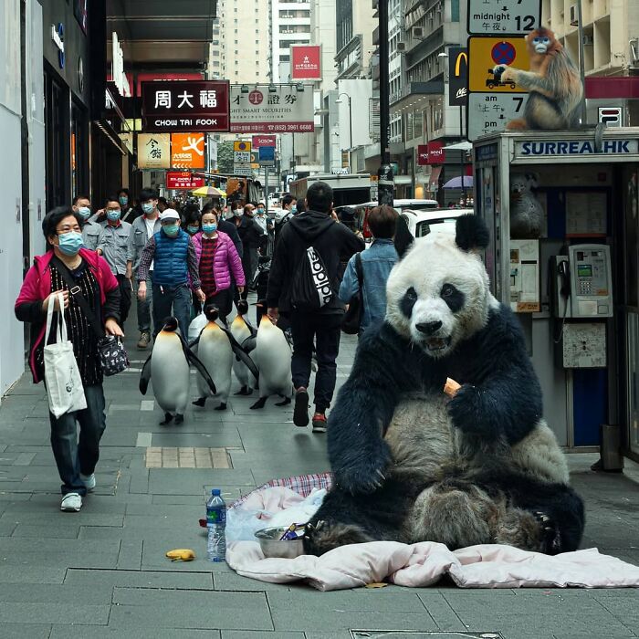 23 Surreal Panda Pics That Turn Everyday Hong Kong Into A Giant Playground